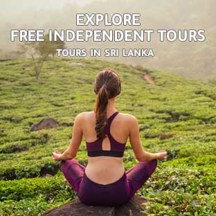 FIT TOURS IN SRI LANKA