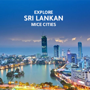 MICE SRILANKA