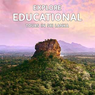 educational group tours