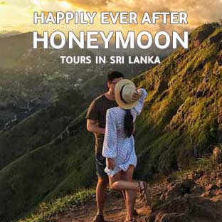 Honeymoon sl